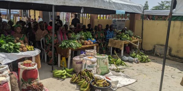 FARMER’S DAY – IBEJU LEKKI